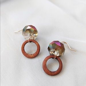 Of Many Colors Earrings